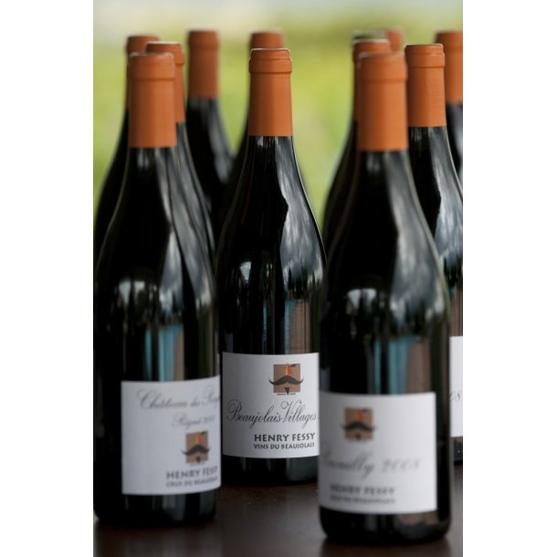 Beaujolais Nouveau Aften